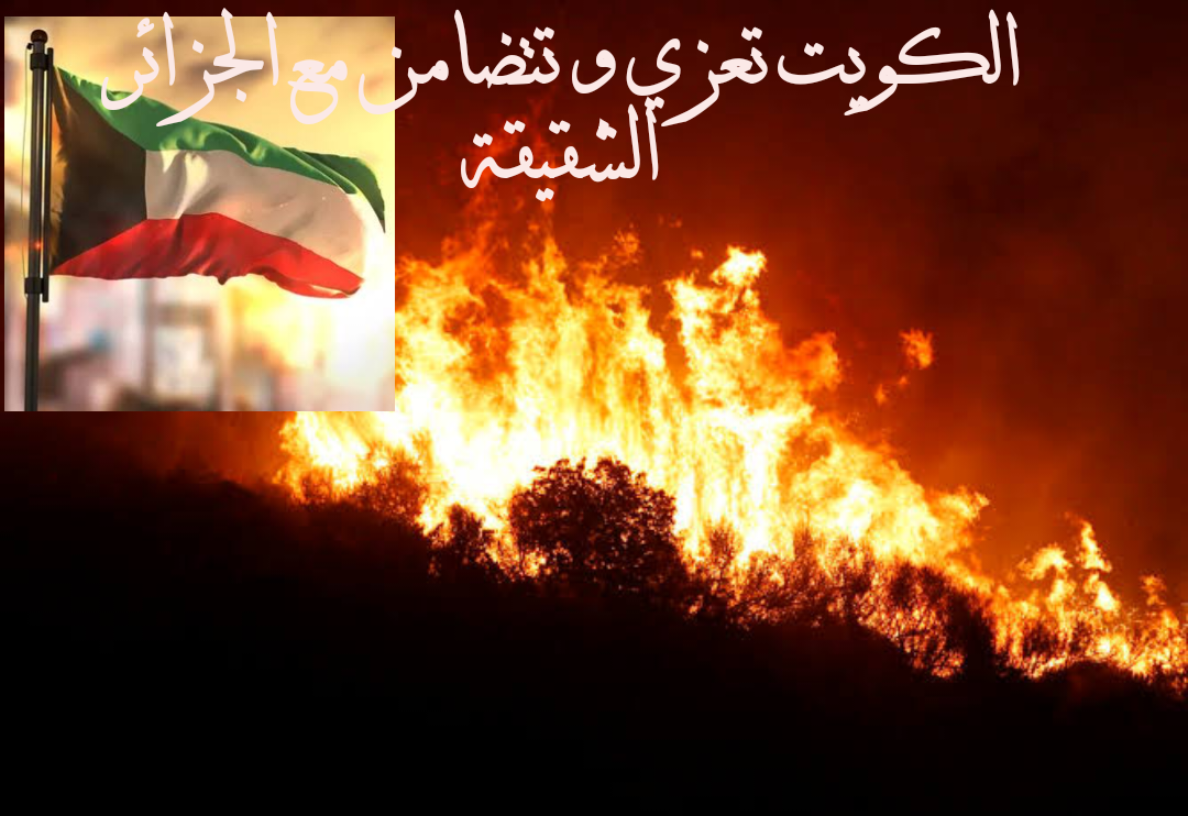  الكويت تعزي و تتضامن مع الجزائر الشقيقة إثر حرائق الغابات